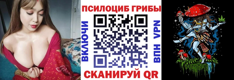 Псилоцибиновые грибы Psilocybine cubensis  закладки  Прокопьевск 