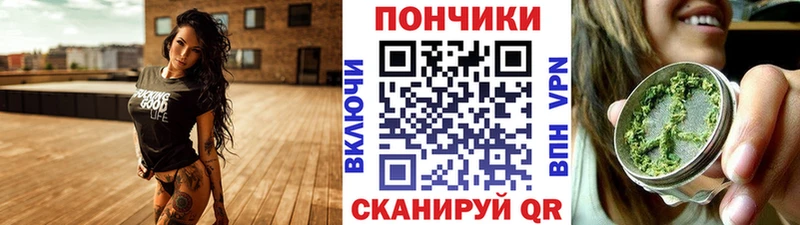 Канабис план купить цена Прокопьевск